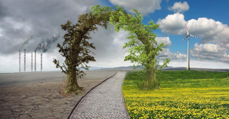 Se busca empresas que aporten soluciones al cambio climático