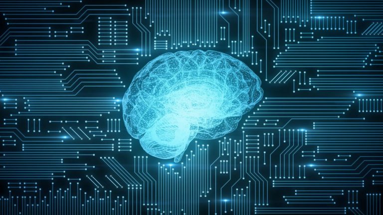 Cerebro adicto; anatomía de la compulsión y la necesidad