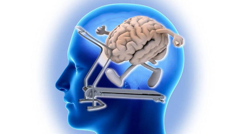 Retrasar el envejecimiento del cerebro y la memoria es posible