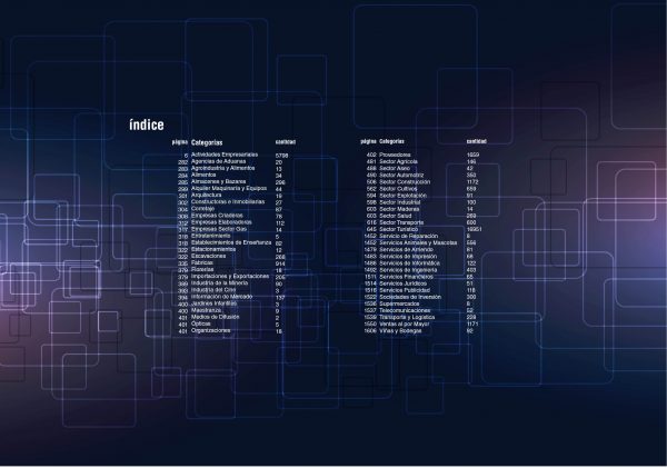 Directorio de Empresas en Chile, Edición Digital eBook PDF. Descarga este ebook con el listado completo de empresas.