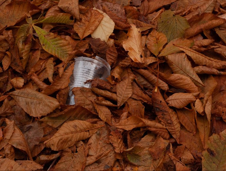 Desafíos del Packaging; implementar una experiencia empresarial sustentable