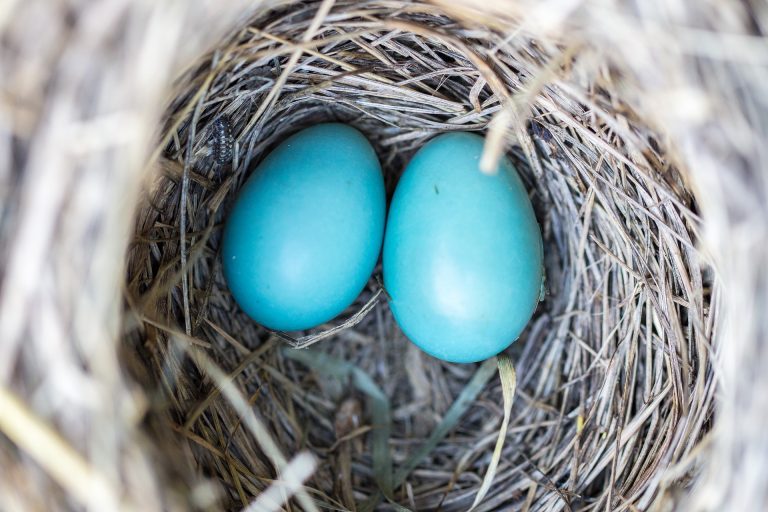 Prácticas sostenibles e innovadoras para su negocio