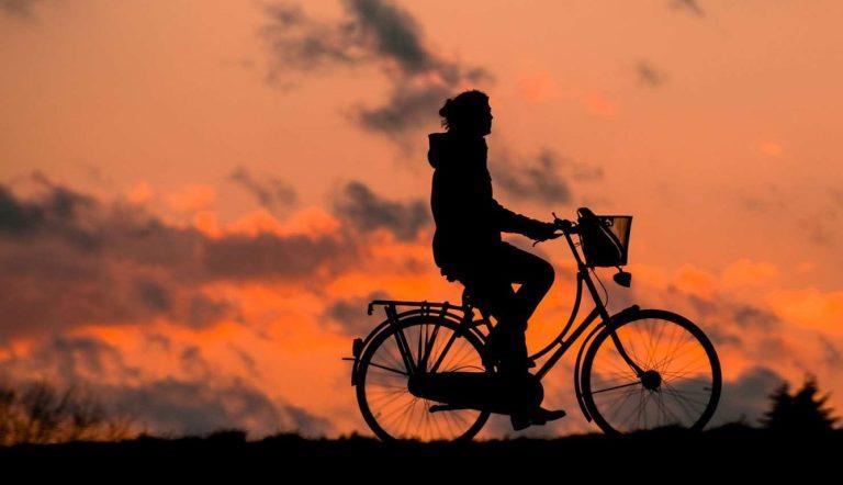 Escaneo corporal, formas de enfrentar los negocios, la salud y el trabajo