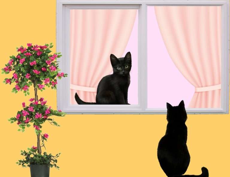 Importancia de la empatía en publicidad y marketing