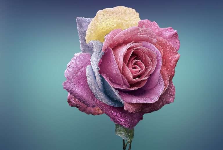 “Atención inteligente”, reactivando las comunicaciones publicitarias