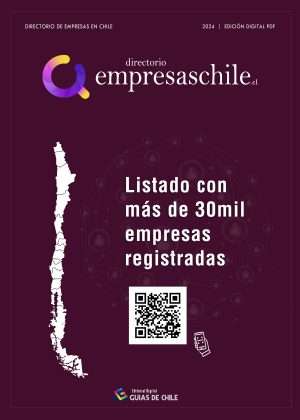 Directorio de Empresas en Chile, Edición Digital eBook PDF. Descarga este ebook con el listado completo de empresas.