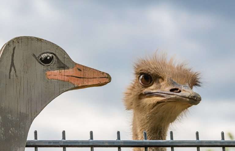 Fraudes aumentan 74% por mal uso de IA