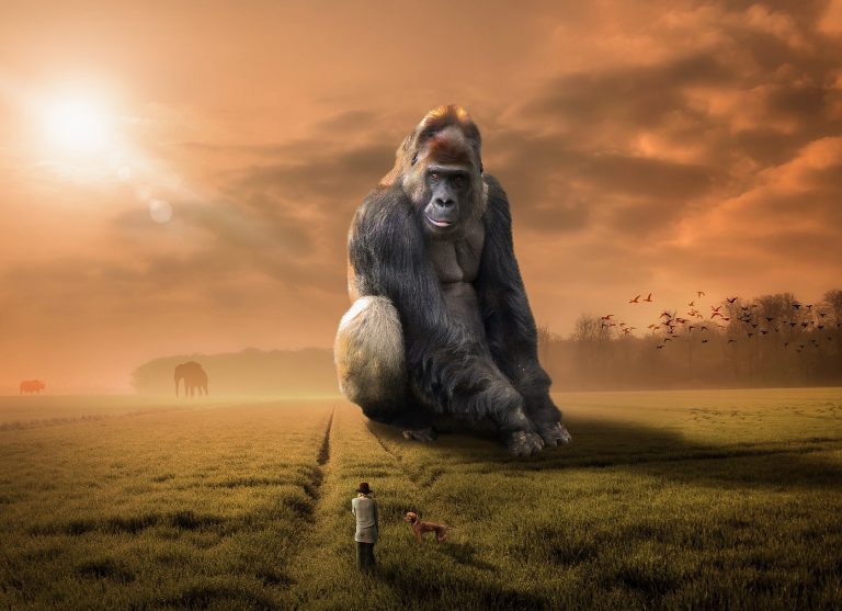 Tu imaginación es un músculo que abandonas